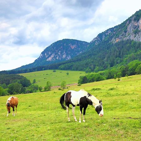 Glamping Hohe Wand - Zelt Mit Sternenfenster Und Whirlpool Otel Maiersdorf Dış mekan fotoğraf