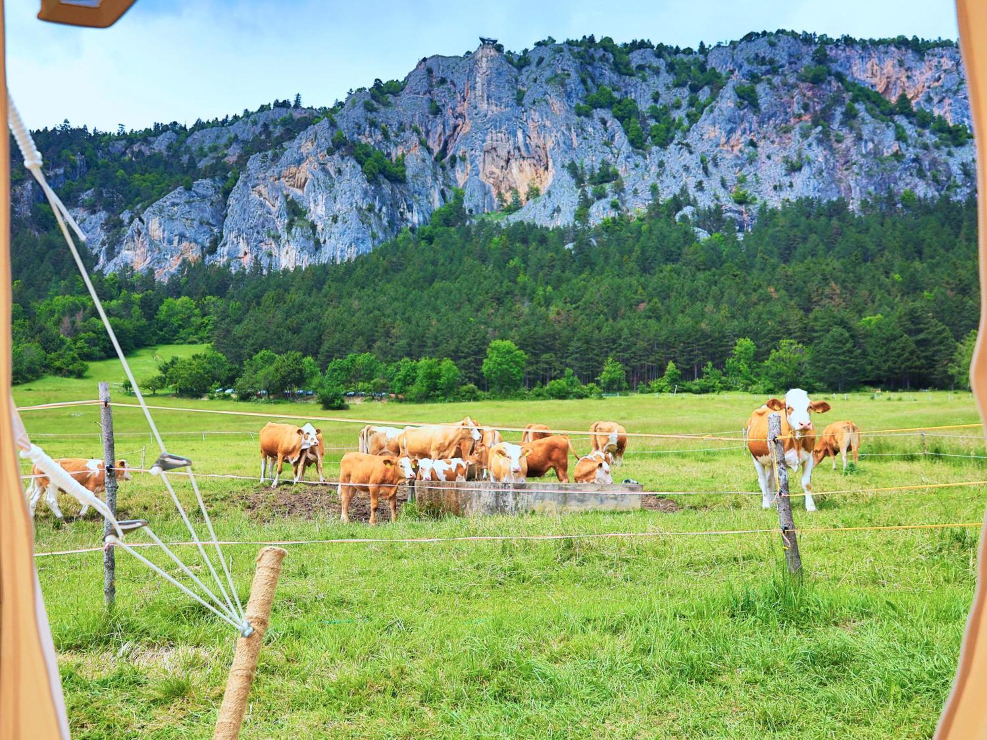 Glamping Hohe Wand - Zelt Mit Sternenfenster Und Whirlpool Otel Maiersdorf Dış mekan fotoğraf
