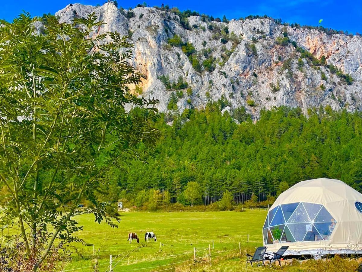 Glamping Hohe Wand - Zelt Mit Sternenfenster Und Whirlpool Otel Maiersdorf Dış mekan fotoğraf